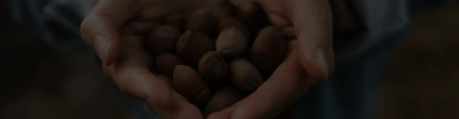Mimi’s farm cover image