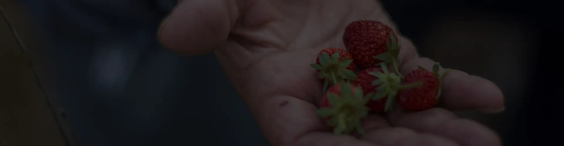 Holing strawberries